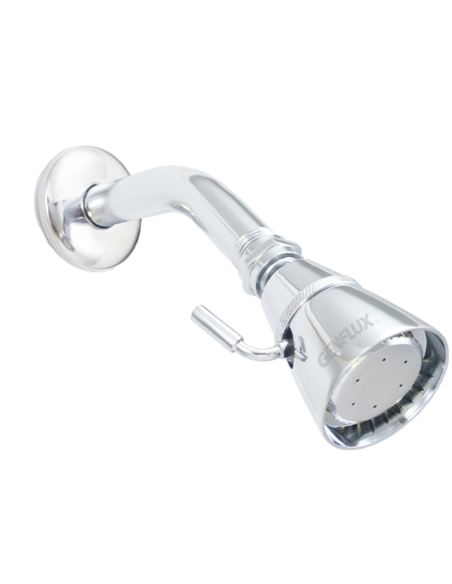 Meta title-Regadera ajustable c-Brazo y chapeton