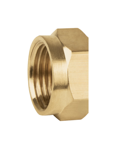 Meta title-Tapon hembra p-Gas 3-8 npt